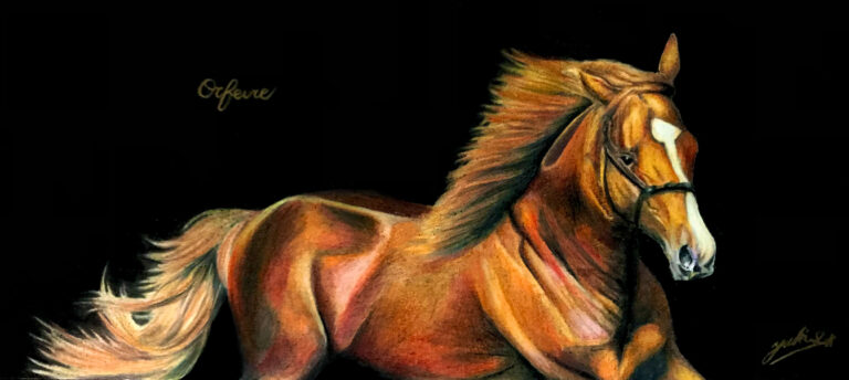 サラブレッド画家｜はじめて馬の絵を描いた日│サラブレッド画家ー佐藤優紀